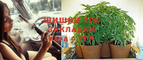 не бодяженный Алзамай