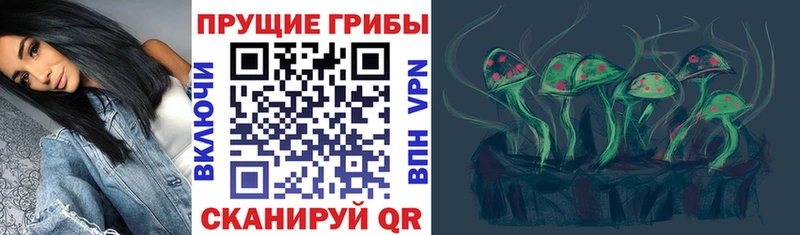 blacksprut ТОР  Заволжск  Галлюциногенные грибы ЛСД  где купить наркотик 